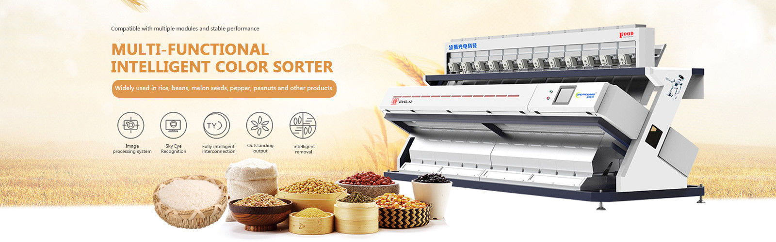 quality Rice Color Sorter factory