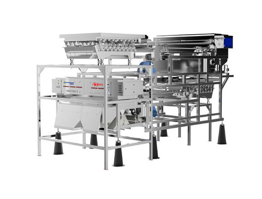 quality  Customized Fruit Sorting Machine Belt Type 1.0-1.5T/H Blueberry Color Sorter factory