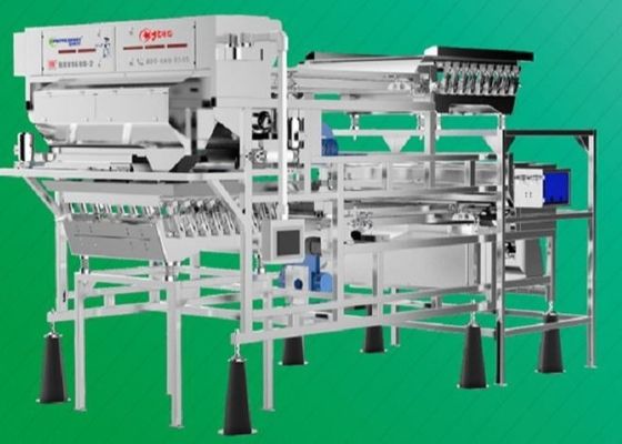 Fresh / Dehydrated Chilli Sorting Machine Belt Type 500 - 750Kg/h