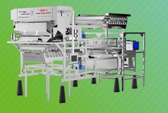 Belt Type Vegetable Sorting Machine Double Layer 2765kg 0.6 T/H 8.75kw