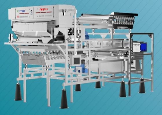 Soft Landing Fruit Sorting Machine Lower Damage Double Layer 400-600Kg/h 2560Kg