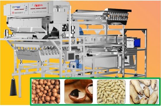 Lower Damage Peanuts Sorting Machine Remote Control 99% Accuracy