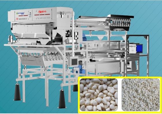 Belt Type Frozen Garlic Color Sorter Intelligent Removal Granules Sorting Machine 220V