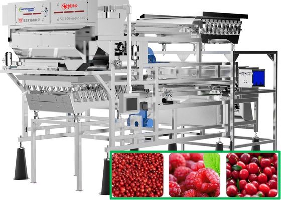 Raspberry / Cranberry / Coffee Cherry Sorting Machine Lower Damage