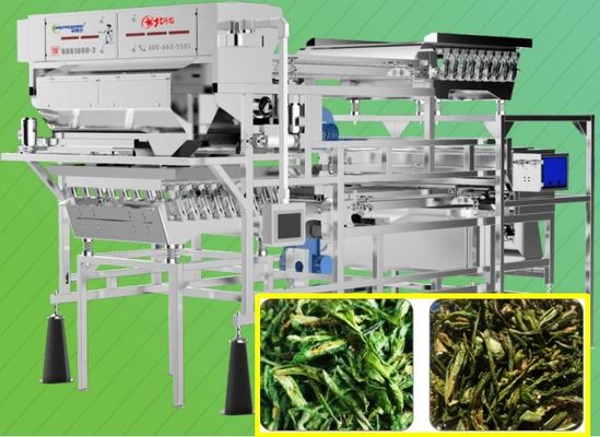 Green Peppers Chili Color Sorter Precise Target Belt Type 5400 Pixel 2 Layers 8.75KW