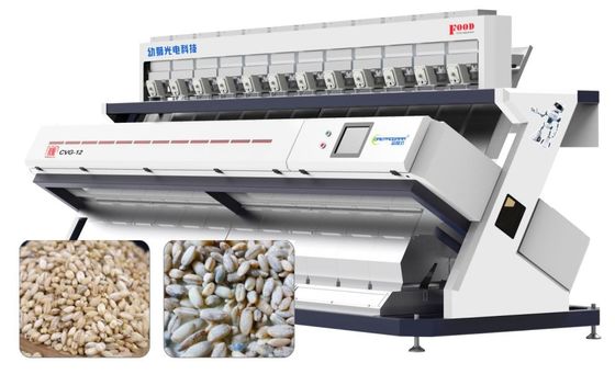 Highland Barley Color Sorter , sorter Wheat Machine Intelligent Recognition 12 Chutes