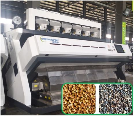 Buckwheat Color Sorter Intelligent Removal For Fagopyrum Esculentum