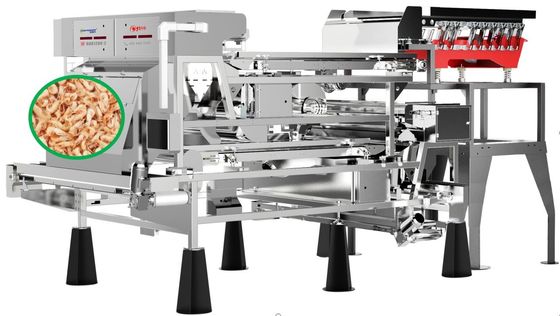Mobile Control Shrimp Sorting Equipment Lower Damage 3.5 T/H With Phoenix Lens